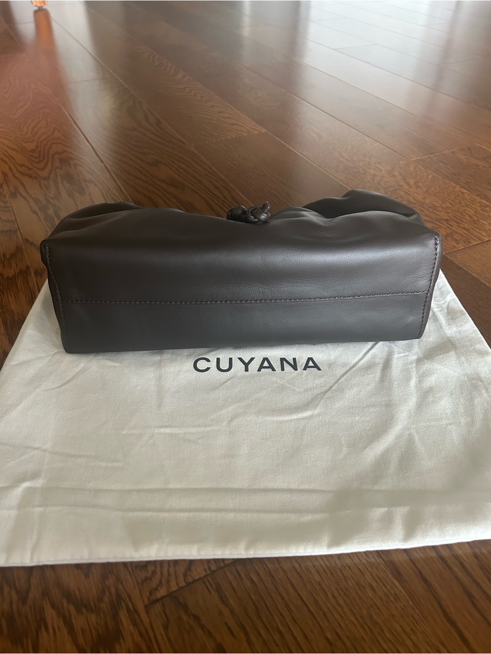 Cuyana Mini Dia Bag in Mocha Leather Drawstring Crossbody Pouch with Gold Accent - Picture 3 of 3